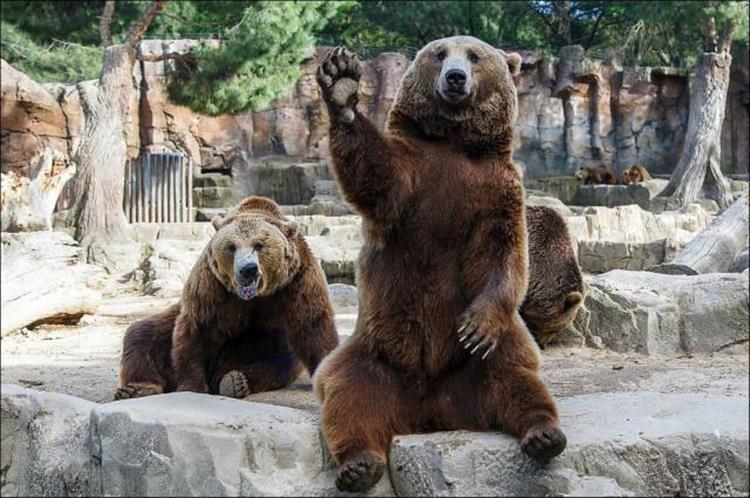 random-pictures-74