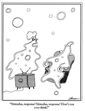 farside-stimulus-response