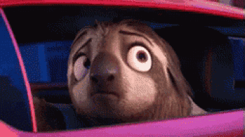 flash-zootopia-gif-5